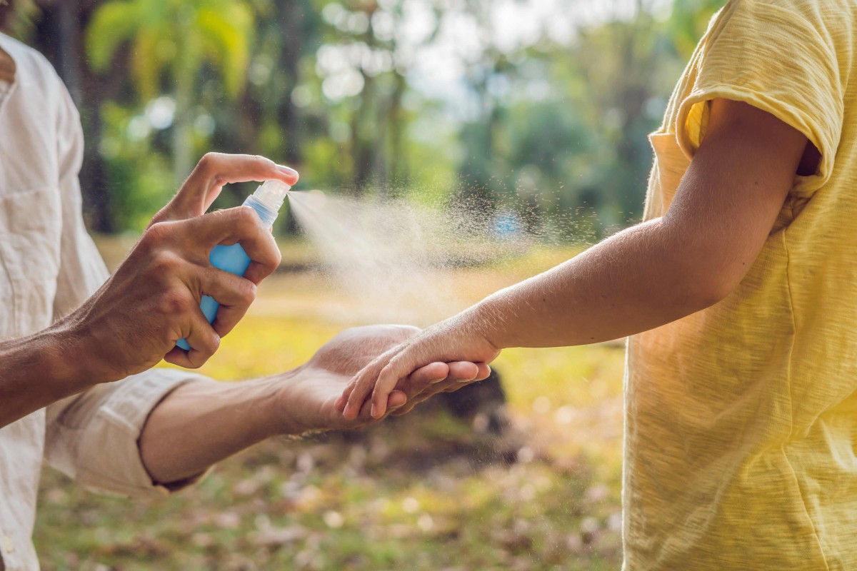 Mosquito-Borne Illnesses Are on the Rise