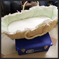 Cuddle Cot