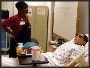 Non-Clinical Training